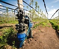 Капельный полив