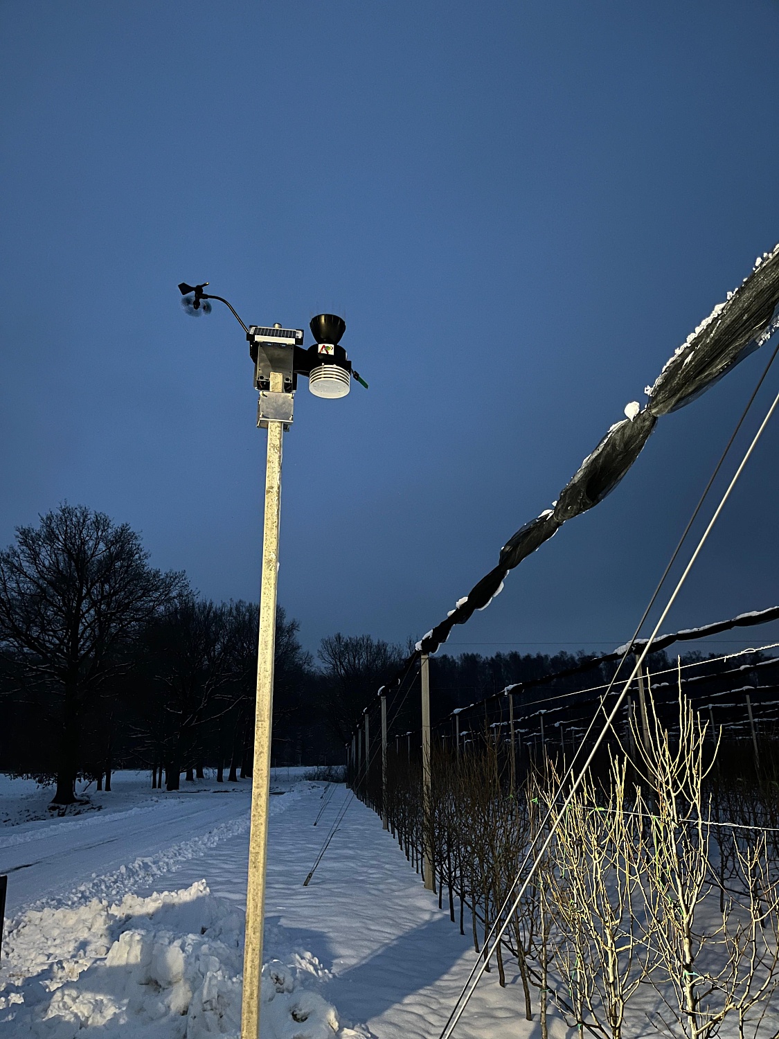 Новый альянс между технологиями и сельским хозяйством.